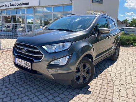 Ford EcoSport 1.0 EcoBoost Business